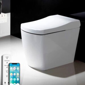 Inodoro Japonés - S300 (Sin Tanque)