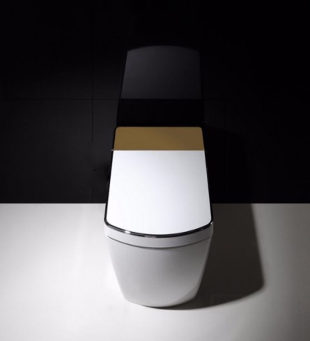 Inodoro Japonés - SL610 (Sin Tanque)