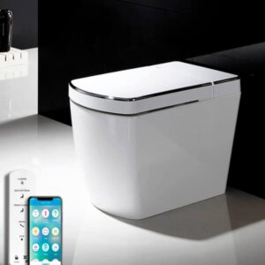 Inodoro Japonés - SL620 (Sin Tanque)