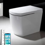 Inodoro Japonés - SL625 (Sin Tanque)