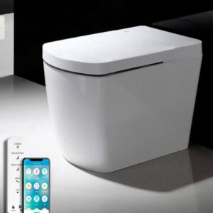 Inodoro Japonés - SL625 (Sin Tanque)