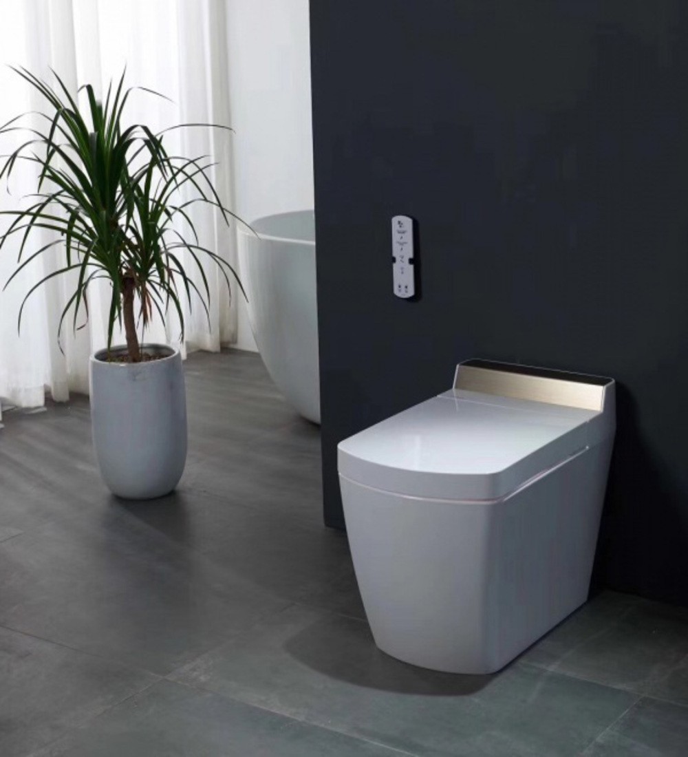 Inodoro Japonés - SL650 (Sin Tanque)