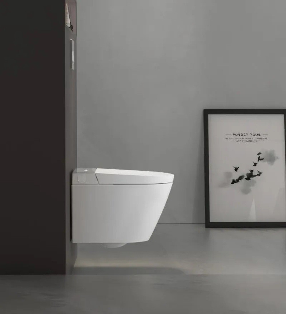 Inodoro inteligente suspendido gris / blanco con bastidor