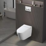 W220 Inodoro suspendido blanco con bastidor