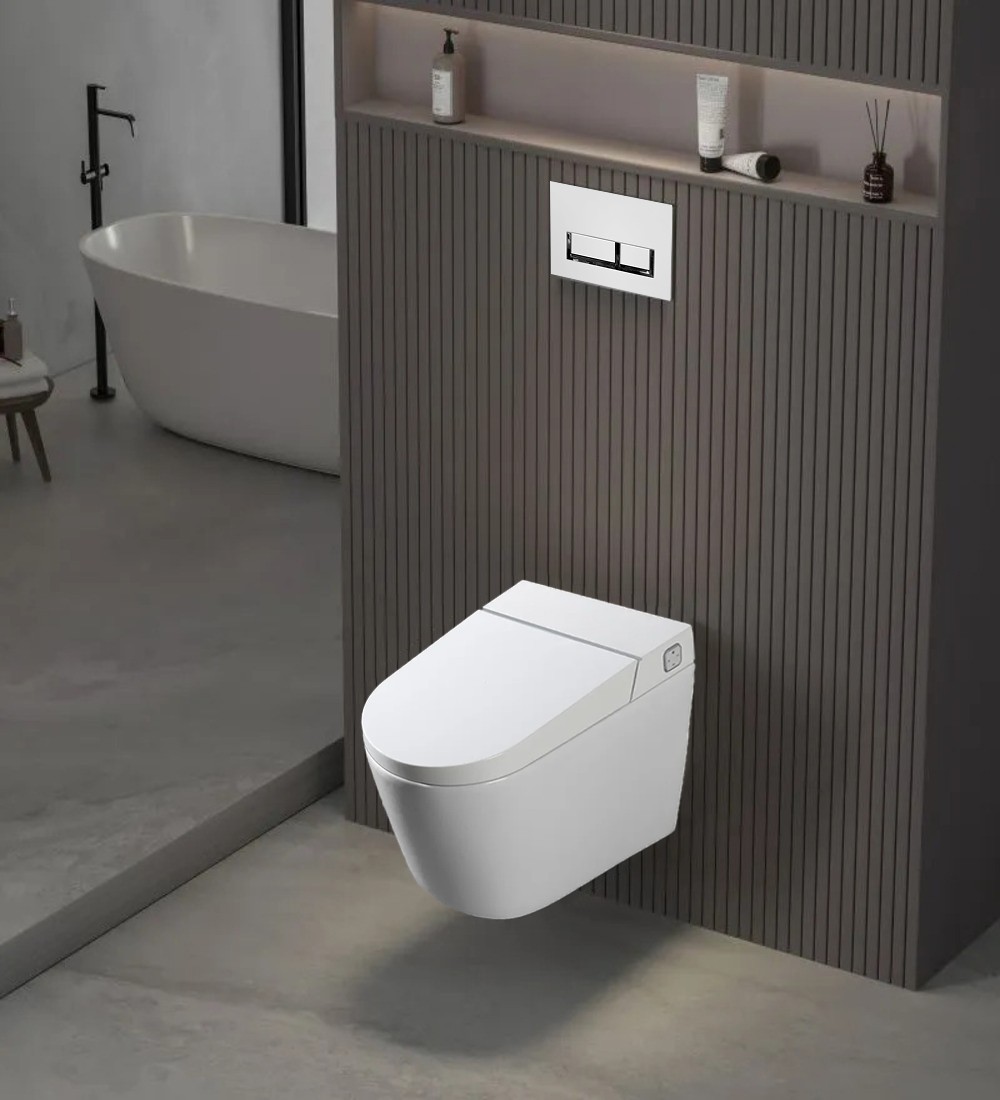 W220 Inodoro suspendido blanco con bastidor