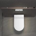 W220 Inodoro suspendido blanco con bastidor