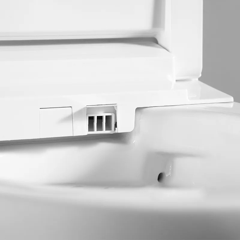 Inodoro suspendido inteligente blanco con bastidor