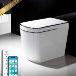 Wc Japonés STOCK FERIA - SL620 (Sin Tanque)