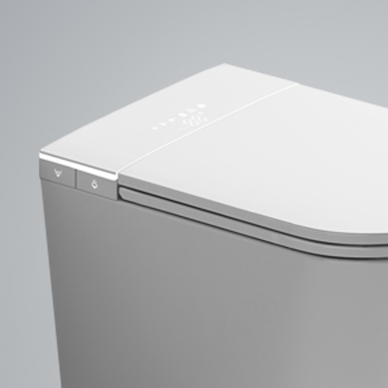 Inodoro japonés suspendido - W390