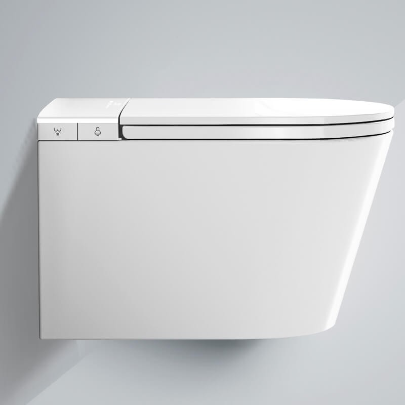 Inodoro japonés suspendido - W390