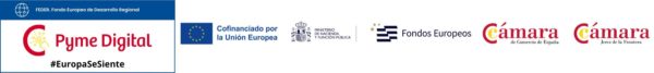 Banner Pyme Digital